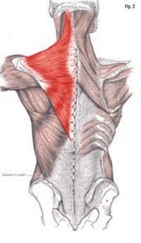 1301rdhfmgf02 1301rdhfmgf02