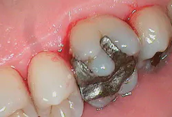 1302rdhfdesf5 1302rdhfdesf5