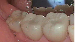 1302rdhfdesf8 1302rdhfdesf8