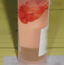 1306rdhcbur02 1306rdhcbur02