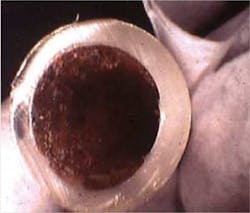 1311rdhfsie03 1311rdhfsie03