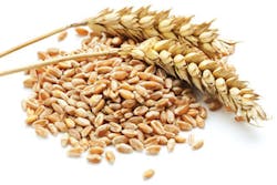 1405rdhffri1 1405rdhffri1