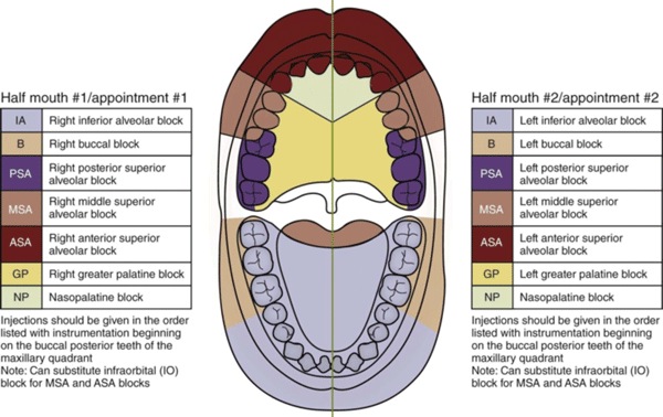 Dental Anesthesia Chart