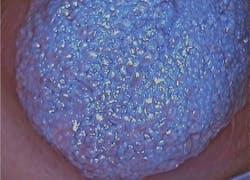 1410rdhcbur02 1410rdhcbur02