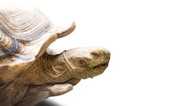 1510rdhffur 1510rdhffur