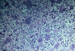 1512rdhcbur P02 1512rdhcbur P02