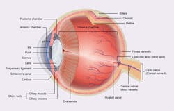 1512rdhfvde F01 1512rdhfvde F01