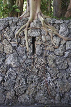 285 2693477 285 2693477