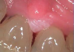 1 Initial Visit 1 Initial Visit