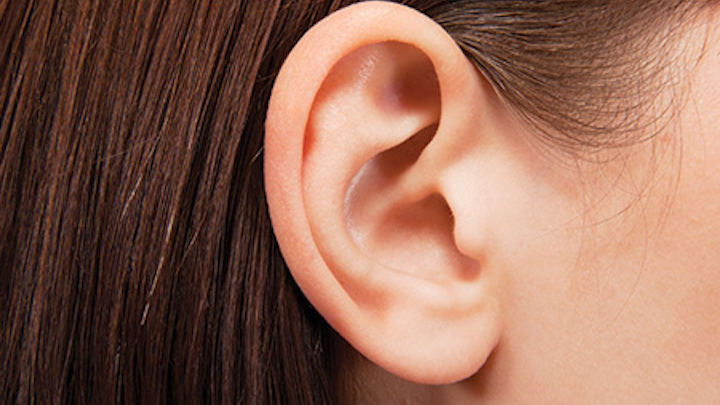 Ear