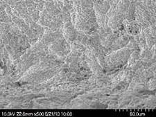 Fig 5a Implant Control Fig 5a Implant Control