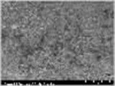 Fig 5b Titanium Fig 5b Titanium