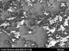 Fig 5d Graphite Fig 5d Graphite