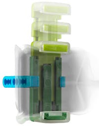 Np Sensiblesbluebitewing Np Sensiblesbluebitewing