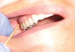 Pennwell web 240 166 Pennwell web 240 166