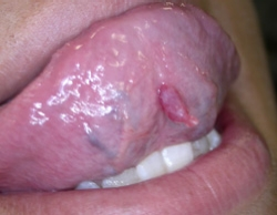 Pennwell web 250 194