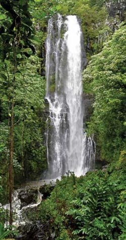 Pennwell web 250 475 Pennwell web 250 475