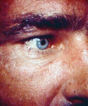 Pennwell web 300 362