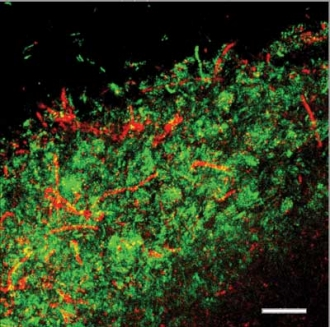 Pennwell web 330 327