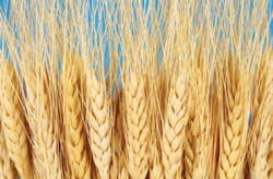 Pennwell web 350 230 Pennwell web 350 230