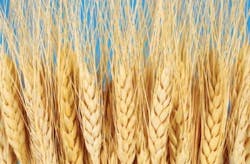 Pennwell web 350 230 Pennwell web 350 230