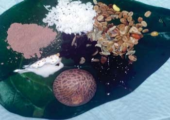 Pennwell web 350 248