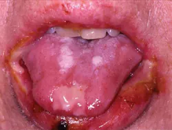 Pennwell web 350 265 Pennwell web 350 265