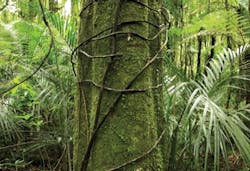 Pennwell web 400 273 Pennwell web 400 273