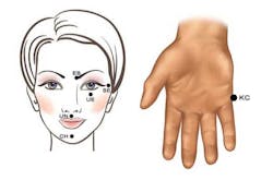 Pennwell web 600 395 Pennwell web 600 395