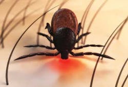 Pennwell web 600 410 Pennwell web 600 410