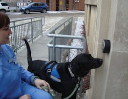 Sara Keedy Noel Working Sara Keedy Noel Working