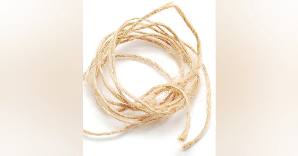 Health Care String Stringing along: Find an alternative to string flossing to boost ...