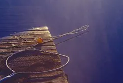 Th 0502rdhdch Th 0502rdhdch