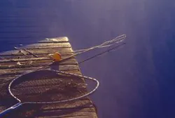 Th 0502rdhdch Th 0502rdhdch