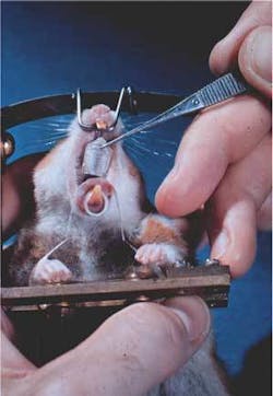 Th 0609rdhls01 Th 0609rdhls01