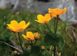 Th 0704rdhsce02 Th 0704rdhsce02