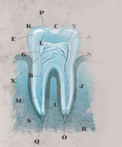 Th 0802rdhminimal01 Th 0802rdhminimal01