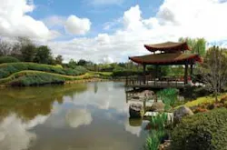 Th 0802rdhthoughtsjapan01 Th 0802rdhthoughtsjapan01