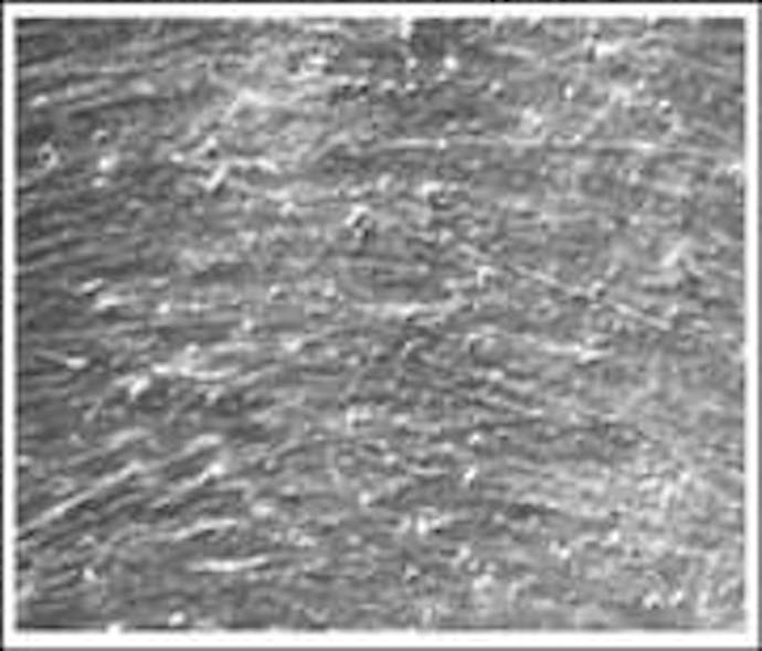 Th 120275