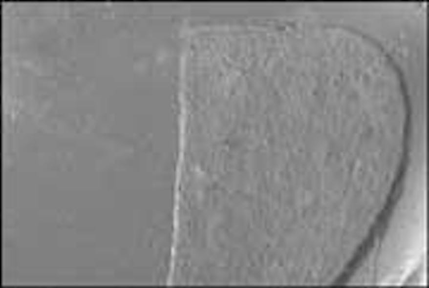 Th 120348
