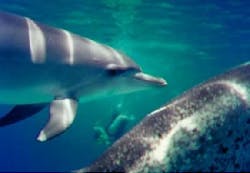 Th 2101law1 Th 2101law1