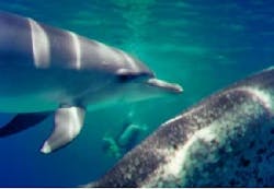 Th 2101law1 Th 2101law1