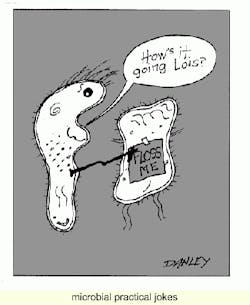 Th 2105rdhcar6 Th 2105rdhcar6