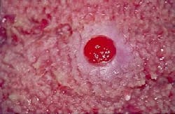 Th 2105rdhcs Th 2105rdhcs