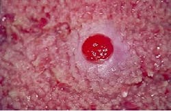 Th 2105rdhcs Th 2105rdhcs