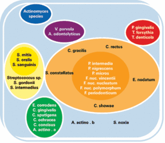 Periodontal Musings Registered Dental Hygienist Rdh Magazine