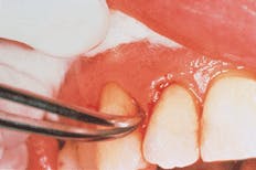 Th Rdh110202 50 Th Rdh110202 50