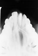 Th Rdh110624 29 Th Rdh110624 29