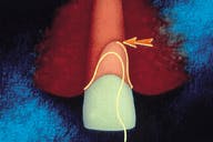 Th Rdh122813 54 Th Rdh122813 54