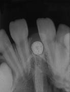 Th Rdh122939 5 Th Rdh122939 5